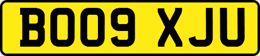 BO09XJU