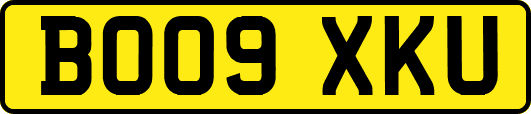 BO09XKU