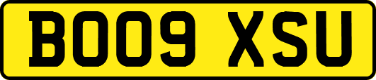 BO09XSU