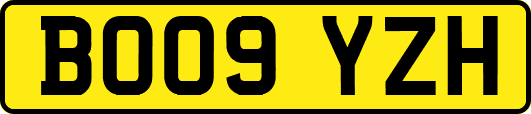 BO09YZH