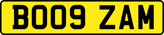 BO09ZAM