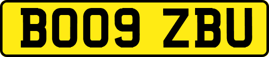 BO09ZBU
