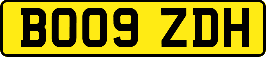 BO09ZDH