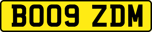 BO09ZDM