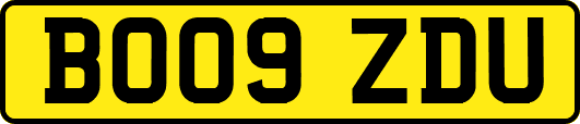 BO09ZDU