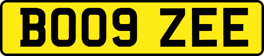 BO09ZEE