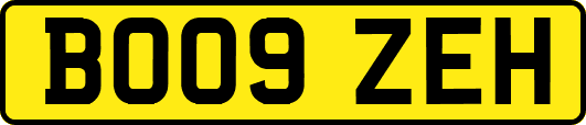 BO09ZEH