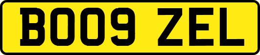 BO09ZEL