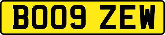 BO09ZEW