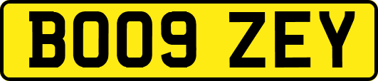 BO09ZEY