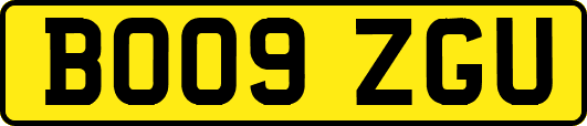 BO09ZGU