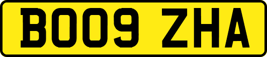BO09ZHA