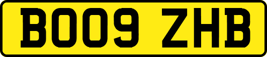 BO09ZHB