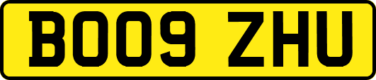 BO09ZHU
