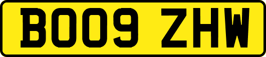 BO09ZHW
