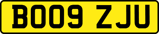 BO09ZJU