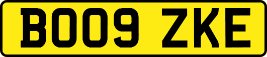 BO09ZKE