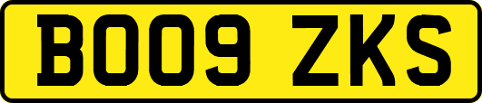 BO09ZKS