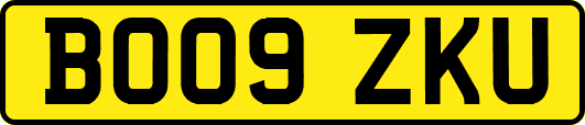 BO09ZKU
