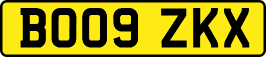 BO09ZKX