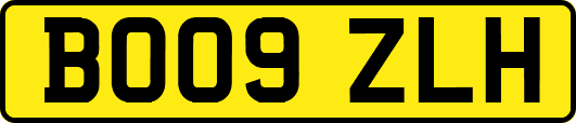 BO09ZLH