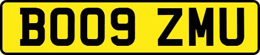 BO09ZMU