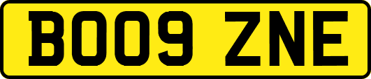 BO09ZNE