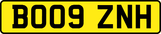 BO09ZNH