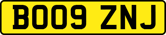 BO09ZNJ
