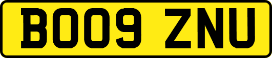 BO09ZNU
