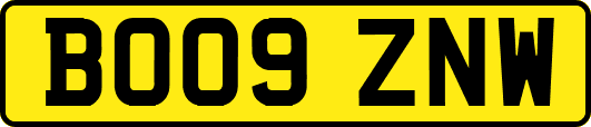 BO09ZNW