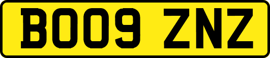 BO09ZNZ