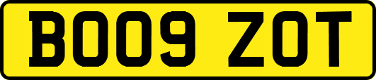 BO09ZOT