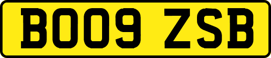 BO09ZSB