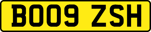 BO09ZSH