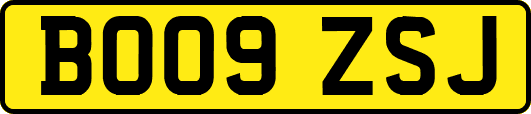 BO09ZSJ