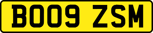 BO09ZSM
