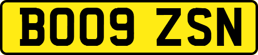 BO09ZSN