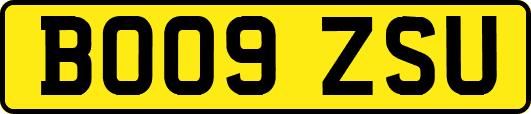 BO09ZSU