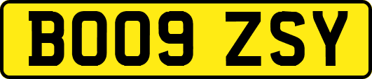 BO09ZSY