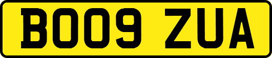 BO09ZUA
