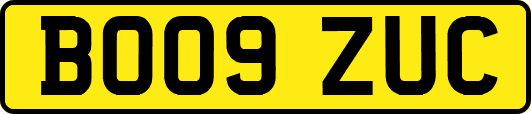 BO09ZUC