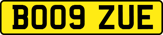 BO09ZUE