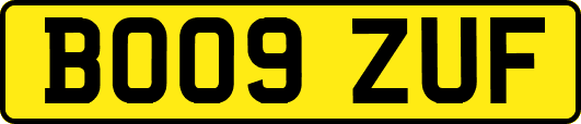 BO09ZUF