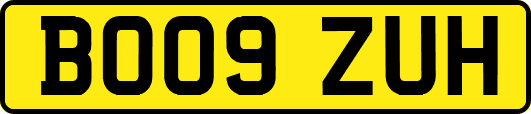 BO09ZUH