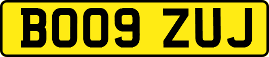 BO09ZUJ