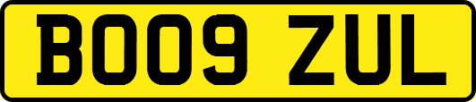 BO09ZUL
