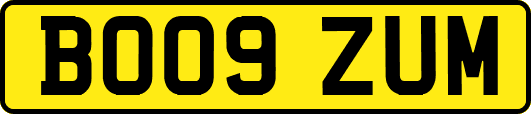 BO09ZUM