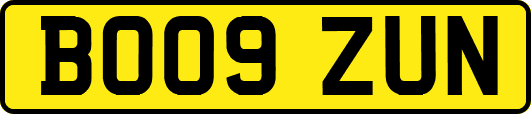 BO09ZUN