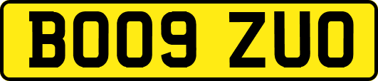 BO09ZUO